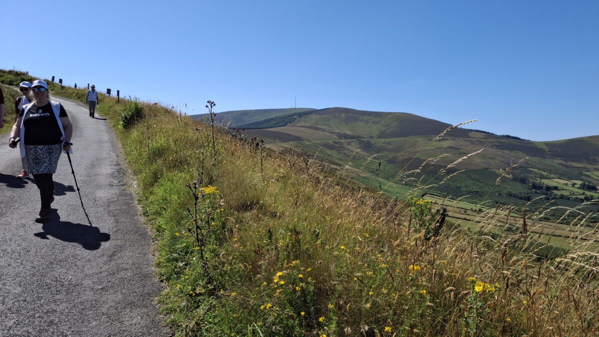 Kolumbansweg bei Carlow/Irland