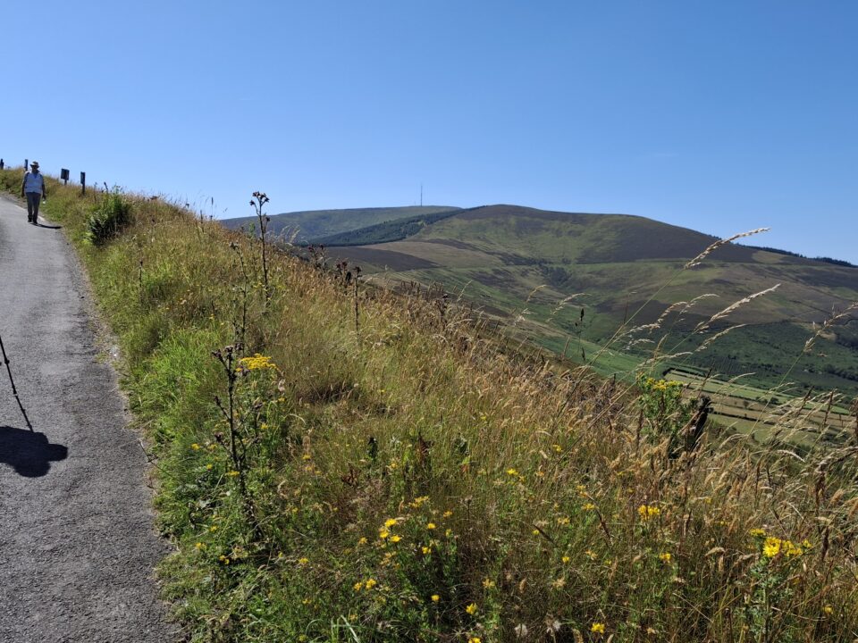 Kolumbansweg bei Carlow/Irland